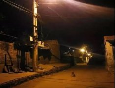 記憶中的老街巷口，有沒有一條等你回家的狗？